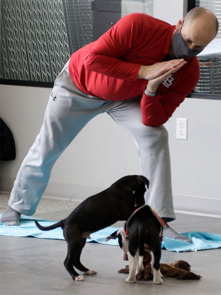 Brad Young watches puppies play while doing yoga